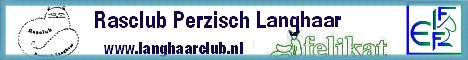 Rasclub Perzisch Langhaar "Felikatje"